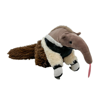 Anteater - TECOMPS